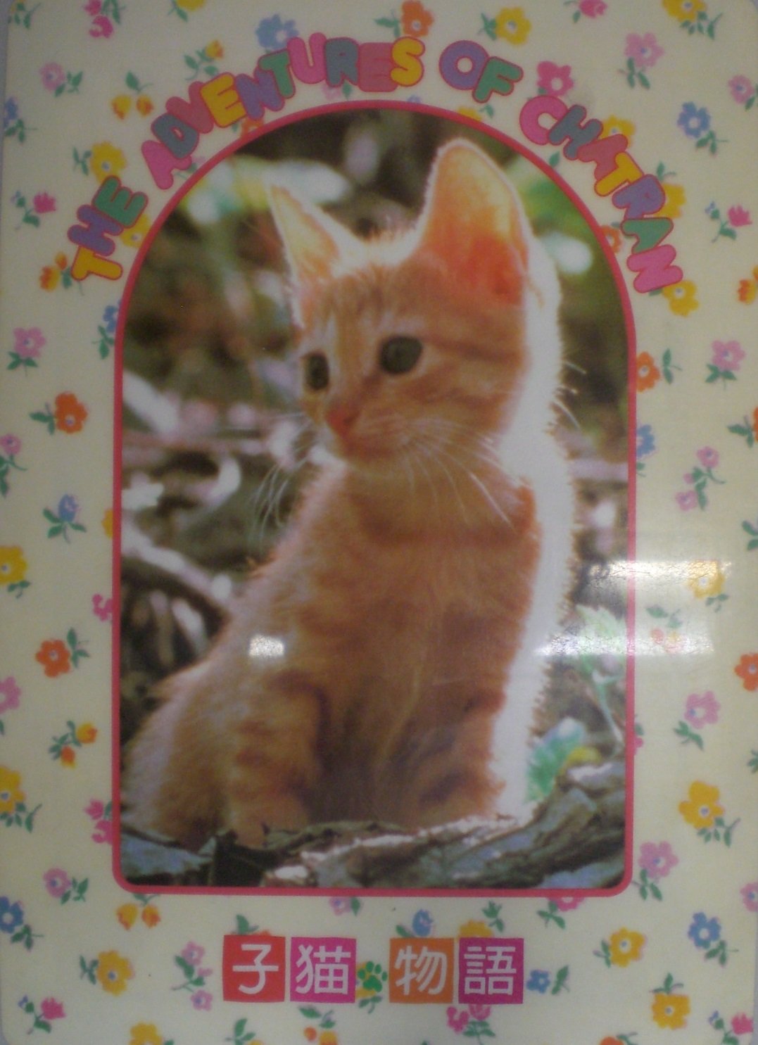 Amazon.co.jp: 映画 子猫物語 下敷き チャトラン 1 単品 ムービック